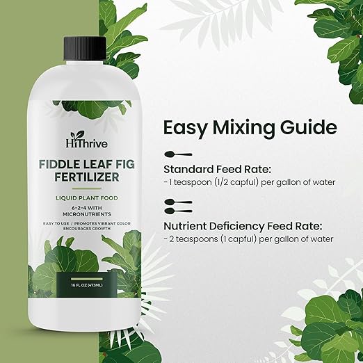 16oz Fiddle Leaf Fig Plant Food - Makes 96 Gallons of Fertilizer, Liquid Houseplant Fertilizer for Ficus Plants, Ideal Fiddle Leaf Fertilizer, 6-2-4 NPK Ficus Plant Food for Strong, Healthy Growth