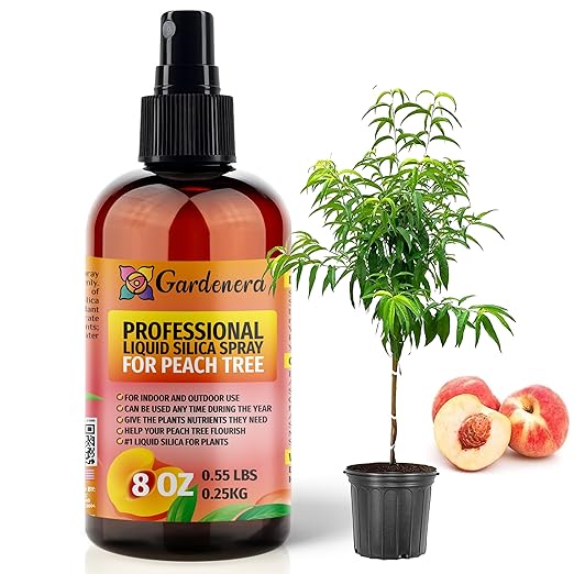 𝐒𝐔𝐏𝐄𝐑𝐈𝐎𝐑 Liquid Silica Boost Fertilizer and Supplement Spray for Peach Tree Plants – Pre-Mixed, Ready-to-Use Liquid Silicon Plant Superfood Mist for Indoor & Outdoor Plants – 8oz