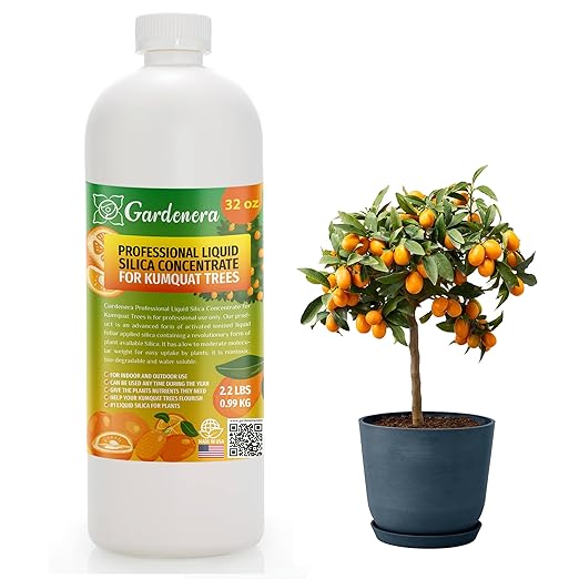 𝐏𝐑𝐎𝐅𝐄𝐒𝐒𝐈𝐎𝐍𝐀𝐋 Liquid Silica Plant Supplement - 32oz - Kumquat Trees Liquid Silica Boost Fertilizer - Stronger Stems & Healthy Leaves for Indoor & Outdoor Kumquat Trees (Makes 180 Gallons)
