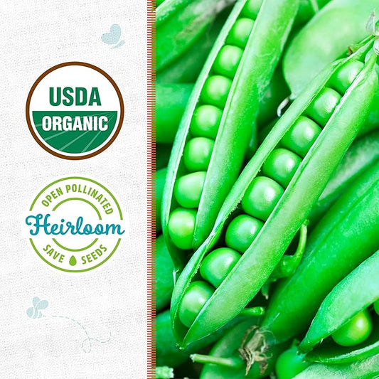 Back to The Roots 100% Organic Heirloom Seeds - Pea 'Pisum Sativum' Value Pack (16.8g Total)