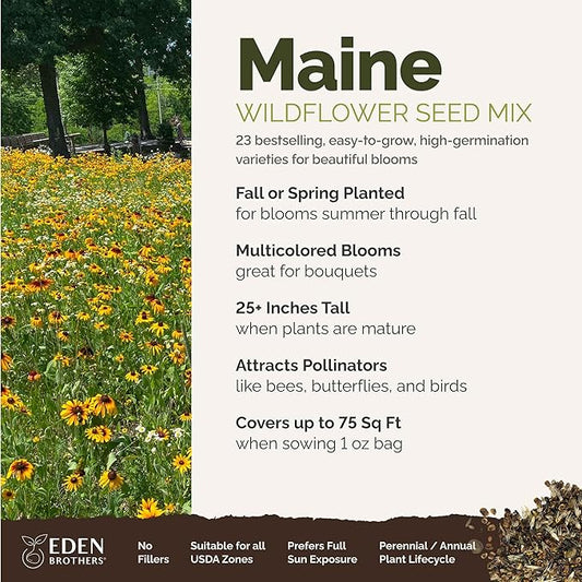 Eden Brothers Maine Wildflower Mixed Seeds for Planting, 1 oz, 30,000+ Seeds with Lupine, Cornflower | Attracts Pollinators, Plant in Spring or Fall, Zones