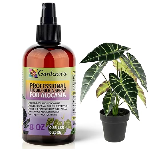 𝐁𝐄𝐒𝐓𝐒𝐄𝐋𝐋𝐄𝐑 Liquid Silica Boost Fertilizer and Supplement Spray for ALOCASIA Plants - Premium Ready-to-Use Liquid Silicon Plant Superfood Mist for Indoor & Outdoor Alocasia Plants - 8oz
