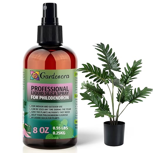𝐒𝐔𝐏𝐄𝐑𝐈𝐎𝐑 Liquid Silica Boost Fertilizer and Supplement Spray for PHILODENDRON Plants – Pre-Mixed, Ready-to-Use Liquid Silicon Plant Superfood Mist for Indoor & Outdoor Plants – 8oz