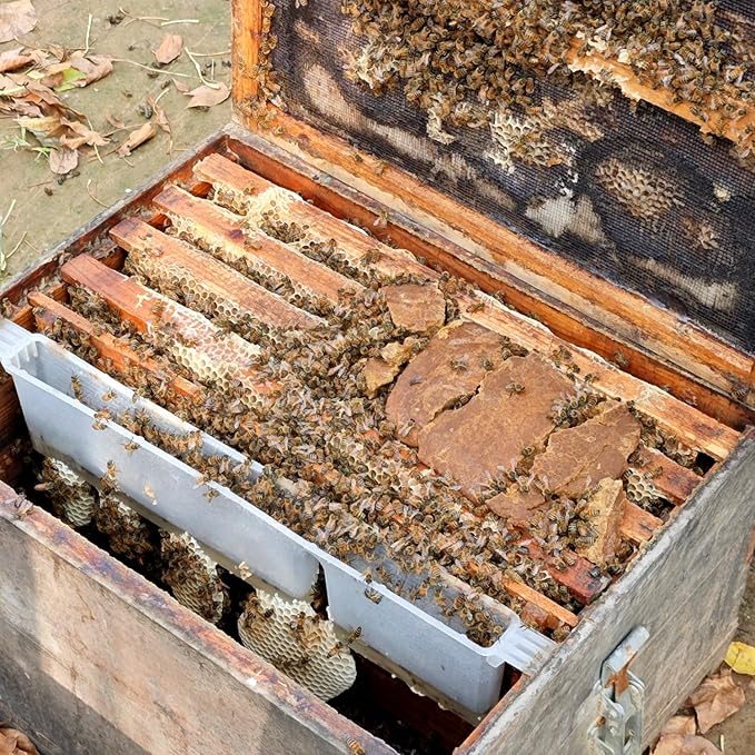 6 Pack Pollen Patties for Bees, 1 lb Each (Approximate Weight), Supplementary Feed for All Levels of Beekeepers