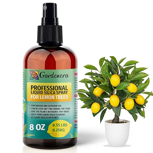 𝐒𝐔𝐏𝐄𝐑𝐈𝐎𝐑 Liquid Silica Boost Fertilizer and Supplement Spray for Lemon Trees – Pre-Mixed, Ready-to-Use Liquid Silicon Plant Superfood Mist for Indoor & Outdoor Plants – 8oz