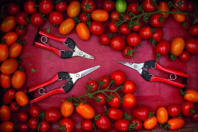 Felco F322 Pruning Snips – 9.84" Garden Clippers with Curved Blade & Rounded Tip | Pruning Shears for Gardening | Garden Snips and Pruners with Carbon Steel Blade, Sap Groove