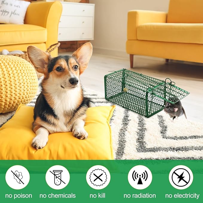 Qualirey 6 Pcs Humane Rat Trap Chipmunk Squirrel Cage Trap Foldable Rodent for Small Live Animal Voles Hamsters Catch and Release for Kitchen Yard Garage Indoors Outdoors (Green)