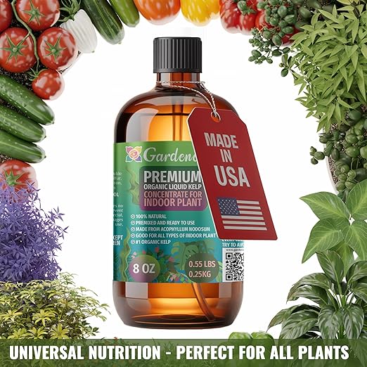 GARDENERA Premium Organic Seaweed & Kelp Superfood for AROID Plants - 32 oz - Liquid Kelp Fertilizer Concentrate (Makes 180 Gallons)