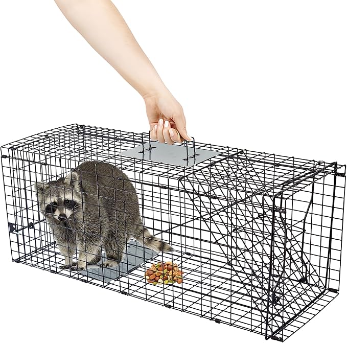 Live Humane Animal Trap, 32" x 11" x 12" Heavy Duty Humane Animal Cage Trap Catch and Release, Foldable Cat Trap for Stray Cats, Raccoons, Groundhogs, Opossums, Armadillos, and Similar-Sized Animals