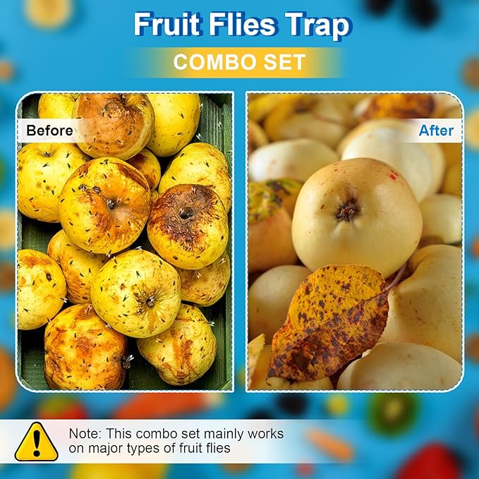 Qualirey 3 Pack Fruit Fly Trap Sticks for Indoors & Outdoor, Comes with 2 Pack Fruit Fly Trap Refill Liquid (0.68oz / Bottle), Non Toxic Hanging Sticky Flies Catcher Stick