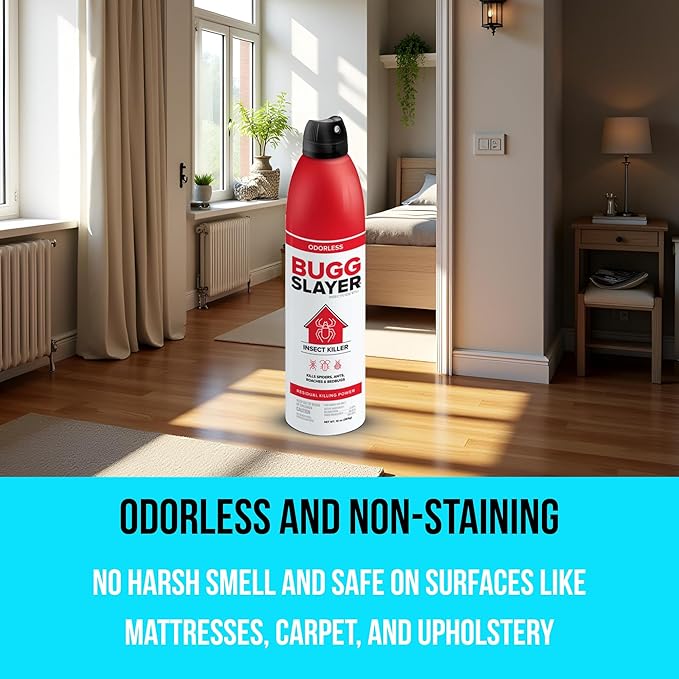 BUGGSLAYER Insecticide RTU Aerosol - Indoor Insect Killer - Spiders, Ants, Roaches, Bed Bugs & More - Odorless, Non-staining - 10 oz Spray Can