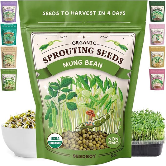 Seedboy Organic Non-GMO Mung Bean Seeds for Sprouting - Microgreens Sprouting Seeds - 8 oz Bag Makes 5 Quarts / 15 Servings (Mung Bean)