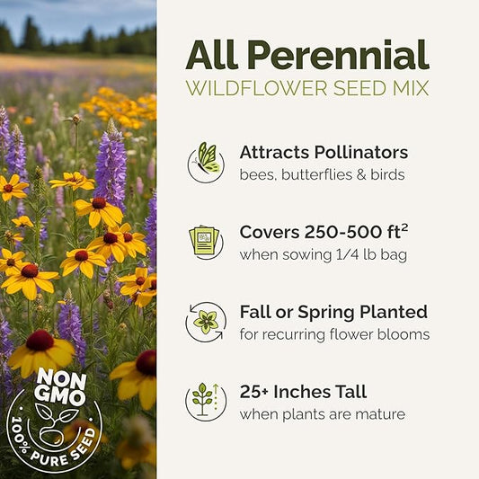 Eden Brothers All Perennial Wildflower Mixed Seeds for Planting, 1/4 lb, 120,000+ Seeds with Lupine, Shasta Daisy | Attracts Pollinators, Plant in Spring or Fall, Zones 3, 4, 5, 6, 7, 8, 9, 10