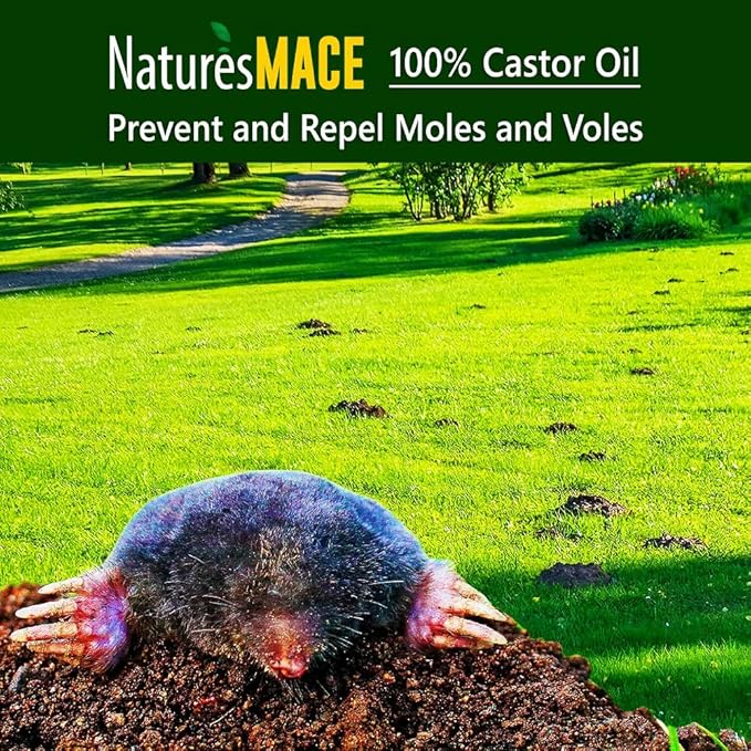 Nature's MACE Mole and Vole Mace, Mole Deterrent for Yard, 32 oz, Pure Castor Oil, Mole Repellent for Lawns, Stop Tunneling, Mole Remover Treatment, Castor Oil Repellent, People, Pet, Plant Safe