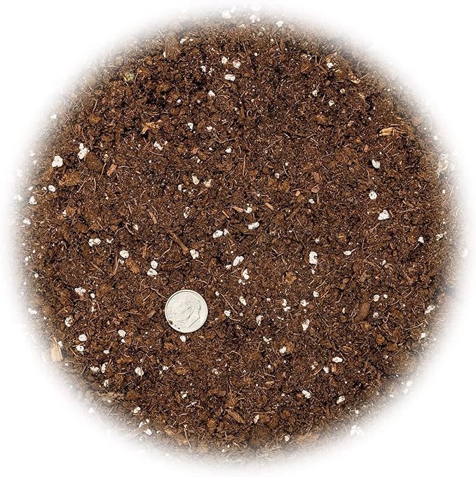GARDENERA Citrus Tree Potting Soil Mix, Special Blend for Indoor Oranges, Lemons, Limes and More - (4 Quart Bag)