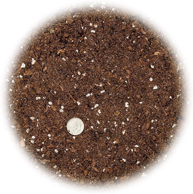 GARDENERA Citrus Tree Potting Soil Mix, Special Blend for Indoor Oranges, Lemons, Limes and More - (5 Quart Bag)
