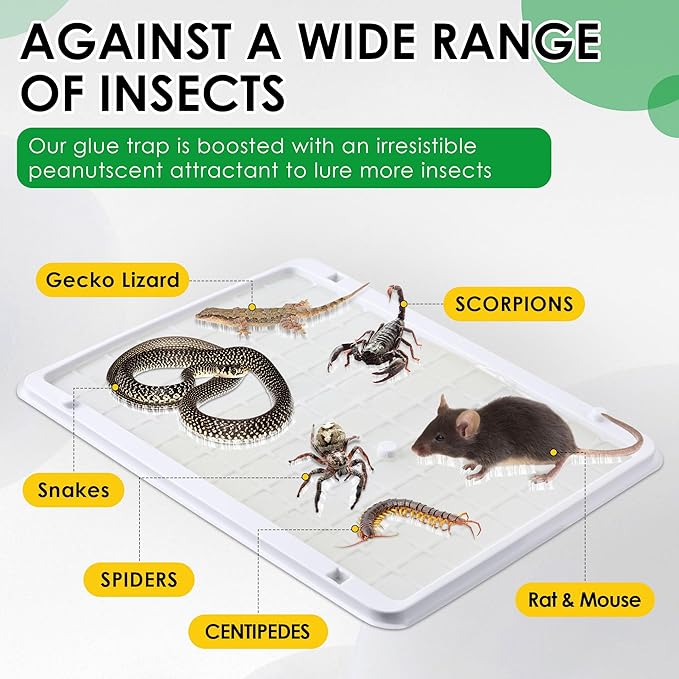 Qualirey 10 Pack Jumbo Rat & Mouse Glue Traps, 11.8 X 9.84 in Large Heavy Duty Mouse Traps Indoor for Home, Pre Scented Adhesive Plastic Tray with for Spider, Snake, Mice, Kids and Pet Safe (White)