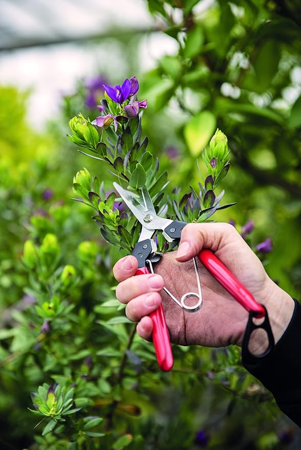 Felco F322 Pruning Snips – 9.84" Garden Clippers with Curved Blade & Rounded Tip | Pruning Shears for Gardening | Garden Snips and Pruners with Carbon Steel Blade, Sap Groove