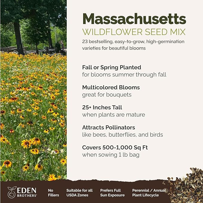 Eden Brothers Massachusetts Wildflower Mixed Seeds for Planting, 1 lb, 480,000+ Seeds with Catchfly, Sweet William | Attracts Pollinators, Plant in Spring or Fall, Zones