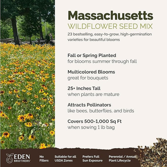 Eden Brothers Massachusetts Wildflower Mixed Seeds for Planting, 1 lb, 480,000+ Seeds with Catchfly, Sweet William | Attracts Pollinators, Plant in Spring or Fall, Zones