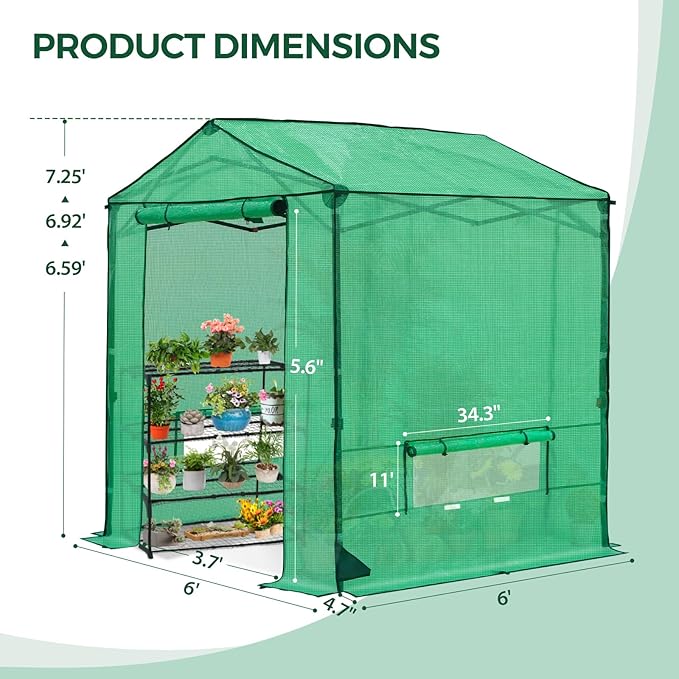 6x6 Pop Up Walk-in Greenhouse, Indoor & Outdoor PE Cover Green House with Power Access Ports, Roll-up Zippered Doors and Windows, Green