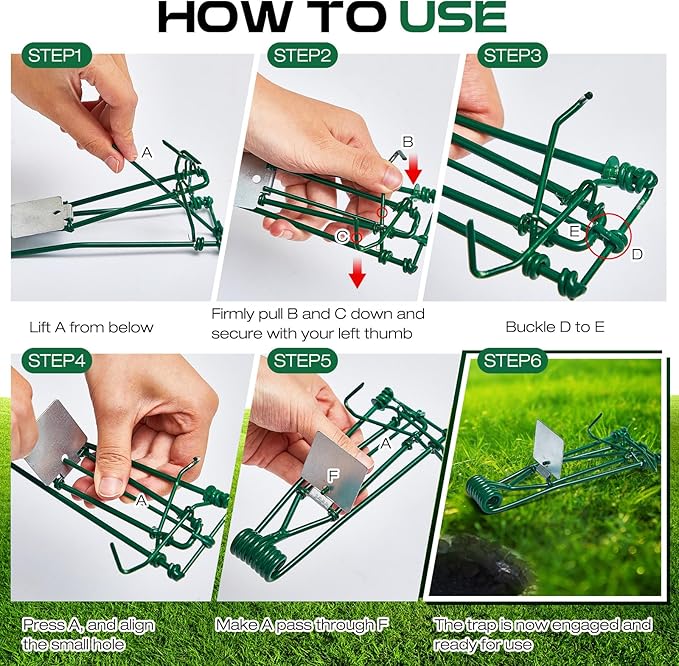 Qualirey 2 Pcs Outdoor Gopher Trap Easy Set Mole Trap Weather Resistant Gopher Killer Vole Killer for Lawn Garden Farm (Green)