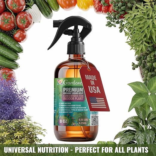 GARDENERA Professional Organic Liquid Kelp Spray for KALANCHOE Plants - 8 oz - Ready-to-Use Fully Organic Seaweed & Kelp Fertilizer Mist