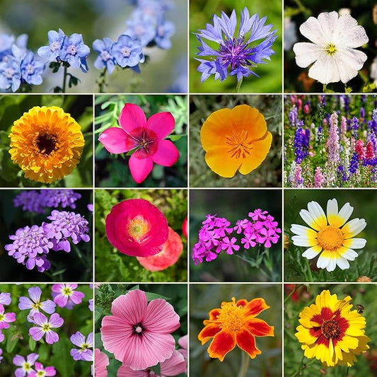 Ferry-Morse Annual Mix Bulk Flower Seeds, 1lb