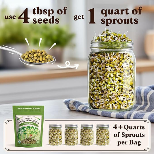 Seedboy Organic Non-GMO Mung Bean Seeds for Sprouting - Microgreens Sprouting Seeds - 8 oz Bag Makes 5 Quarts / 15 Servings (Mung Bean)