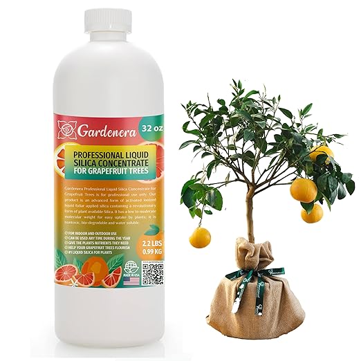 𝐏𝐑𝐎𝐅𝐄𝐒𝐒𝐈𝐎𝐍𝐀𝐋 Liquid Silica Plant Supplement - 32oz - Grapefruit Trees Liquid Silica Boost Fertilizer - Stronger Stems & Healthy Leaves for Indoor & Outdoor Grapefruit (Makes 180 Gallons)