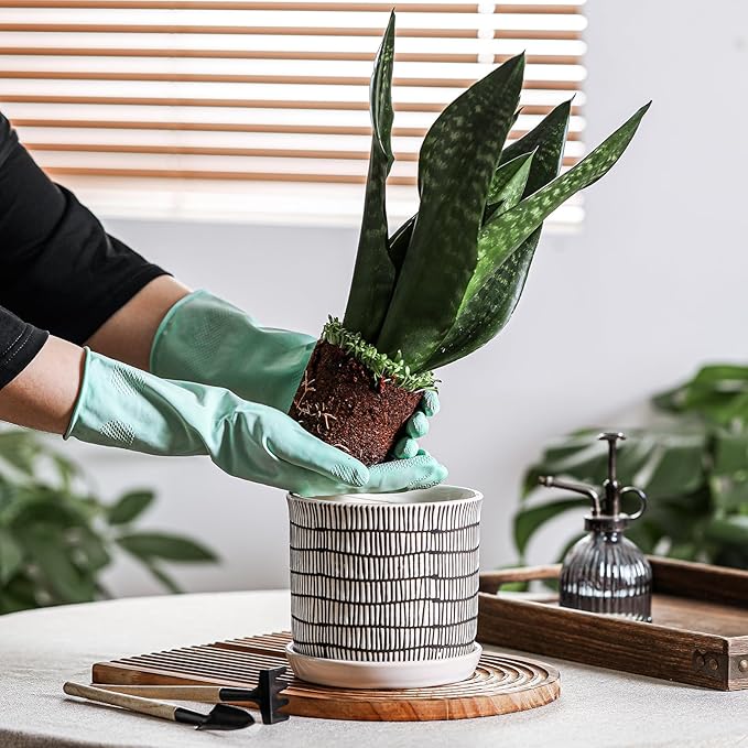 5.8 Inch Plant Pot: Ceramic Planter with Drainage Hole & Saucer - Cylinder Flowerpot for Indoor & Outdoor Plants - with Separate Tray for Home & Office - Striped Design