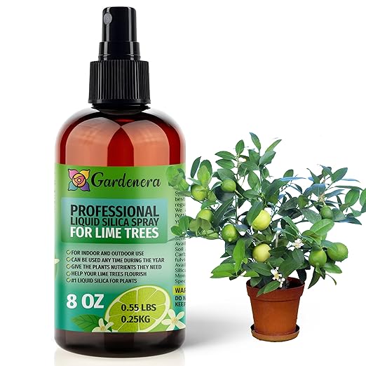 𝐒𝐔𝐏𝐄𝐑𝐈𝐎𝐑 Liquid Silica Boost Fertilizer and Supplement Spray for Lime Trees – Pre-Mixed, Ready-to-Use Liquid Silicon Plant Superfood Mist for Indoor & Outdoor Plants – 8oz