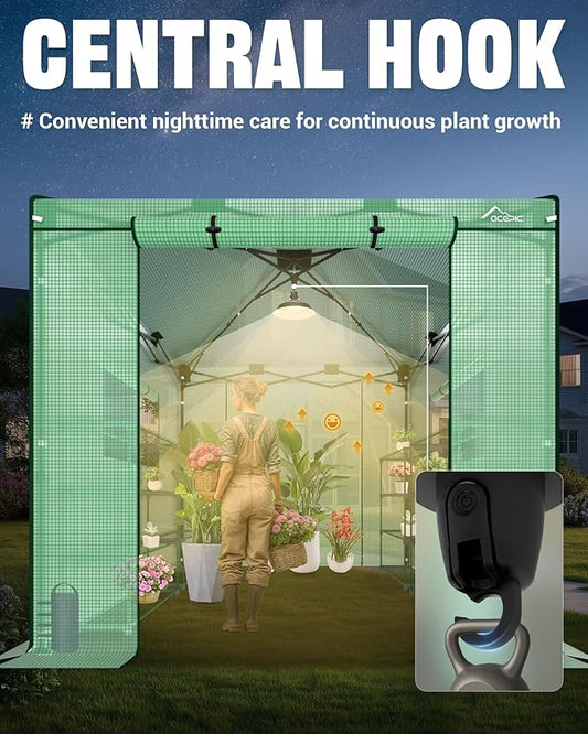 8x8 Instant Pop up Greenhouses, Indoor Outdoor Portable Greenhouse Walk-in for All Season, Small Green House with Roll-Up Zipper Doors and Side Windows, 4 Sandbags, Pe Cover, Green/Clear