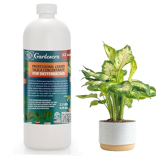 𝐏𝐑𝐎𝐅𝐄𝐒𝐒𝐈𝐎𝐍𝐀𝐋 Liquid Silica Plant Supplement - 32oz - DIEFFENBACHIA Plants Liquid Silica Boost Fertilizer - Stronger Stems & Healthy Leaves for Indoor & Outdoor Plants (Makes 180 Gallons)