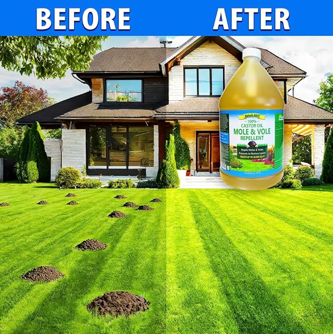 Nature's MACE Mole and Vole Mace, 5 Gallon, 100% Pure Castor Oil, Mole Deterrent for Yard, Lawns, Mole Repellent, Stop Tunneling, Mole Remover Treatment, Castor Oil Repellent, People, Pet, Plant Safe