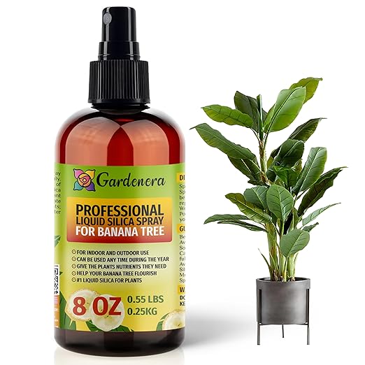 𝐒𝐔𝐏𝐄𝐑𝐈𝐎𝐑 Liquid Silica Boost Fertilizer and Supplement Spray for Banana Tree Plants – Pre-Mixed, Ready-to-Use Liquid Silicon Plant Superfood Mist for Indoor & Outdoor Plants – 8oz