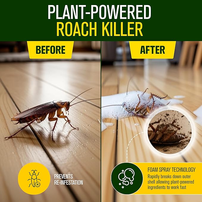Green Guard Pest Control Spray - Indoor & Outdoor Killer of Ants, Roaches, Spiders & Other Crawling Insects, Safe Around Children & Pets, Plant-Based, Pleasant Scent (Cinnamon Might, 32oz)