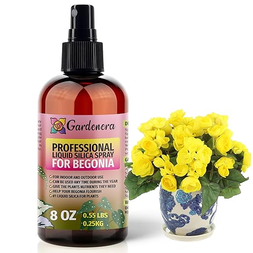 𝐁𝐄𝐒𝐓𝐒𝐄𝐋𝐋𝐄𝐑 Liquid Silica Boost Fertilizer and Supplement Spray for Begonia Plants - Premium Ready-to-Use Liquid Silicon Plant Superfood Mist for Indoor & Outdoor Begonias - 8oz