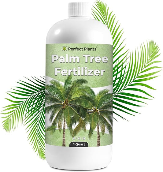 Liquid Palm Tree Fertilizer by Perfect Plants | Feed All Indoor or Outdoor Palms with Nutrient Dense Food | for Species Including Windmill, Sago, Ponytail, Majesty, & More | NPK 8-8-8 (1 Qt)