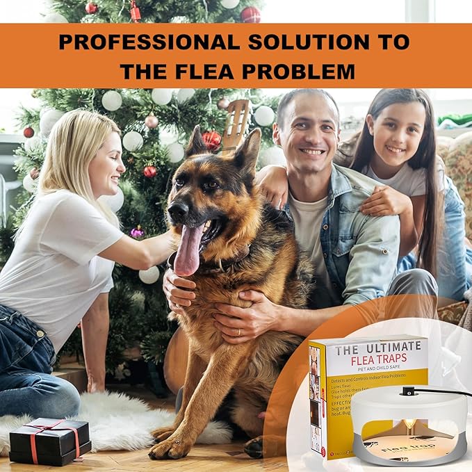 Qualirey 6 Pack Flea Traps with Sticky Disc Bulbs Flea Traps for Inside Your Home Light Trap for Indoor Safe to Pets (White Gray)