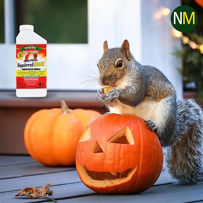 Nature's Mace Squirrel Mace, Squirrel Repellent Outdoor, 40 Ounce Spray, Squirrel and Chipmunk Repellent, Keep Squirrels Out of Your Garden, Attic, Bird Feeders, Fruit Trees, Plants, Potted Plants