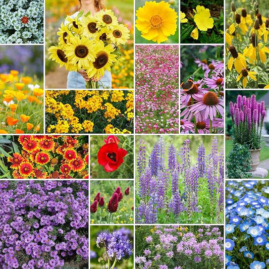 Eden Brothers The Bees Knees Wildflower Mixed Seeds for Planting, 5 lb, 2,400,000+ Seeds with Siberian Wallflower, Cosmos | Attracts Pollinators, Plant in Spring or Fall, Zones 3, 4, 5, 6, 7, 8, 9, 10