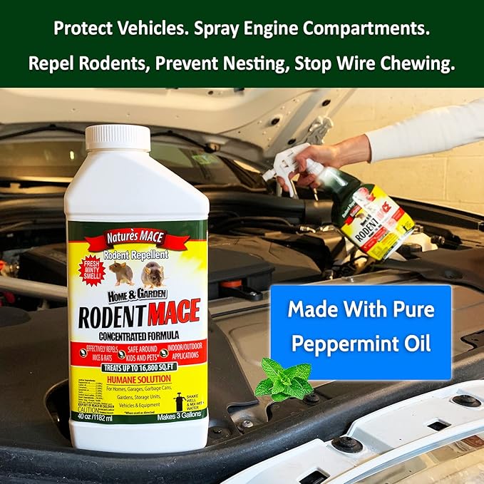 Nature’s MACE Rodent Repellent 1 Gal Concentrate Covers 87,000 Sq Ft, Rodent Repellent Outdoor, Keep Rodents Out of Home, Garage, Attic, Peppermint Spray Blend for Rodents, Safe Around Kids & Pets