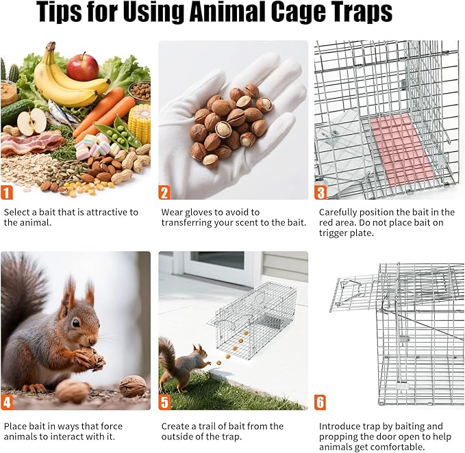 Uablun 31" Live Animal Trap, Heavy Duty Folding Squirrel Traps Outdoor, Humane Catch & Release Cat Trap for Stray Cats, Raccoons, Squirrel, Skunk, Mole, Groundhog, Armadillo, Rabbit