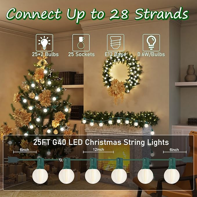 Pallerina G40 25FT LED Outdoor Christmas String Lights,Frosted Globe Lights with 27 (2 Spare) Plastic Shatterproof Round Bulbs