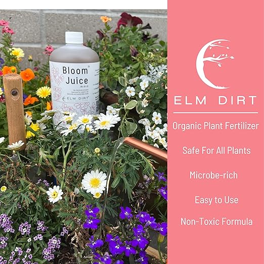 Elm Dirt's Bloom Juice for All Flowering Plants (1 Bottle)