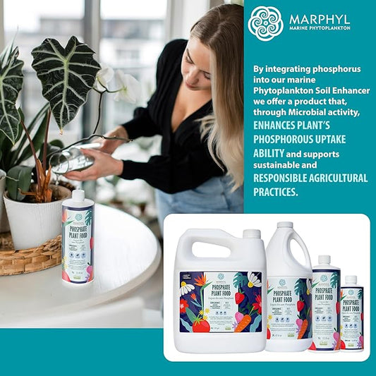 MARPHYL Organic Liquid Phosphate Soil Enhancer – Phosphorus Fertilizer for Root Development & Bloom Support, Ideal for Garden Flowers, Vegetables, Succulents & Hydroponics