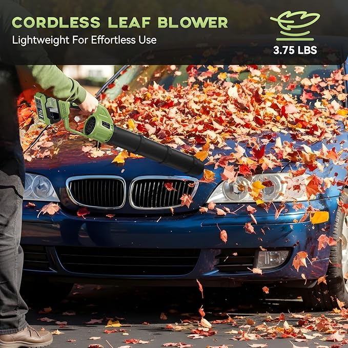 Cordless Leaf Blower - 650 CFM Brushless Electric Leaf Blower with 2 x 6.0Ah Batteries & Fast Charger, 2 Speed Modes, Battery Powered Leaf Blowers for Lawn Care, Patio, Dust, Snow Care (Light Green)