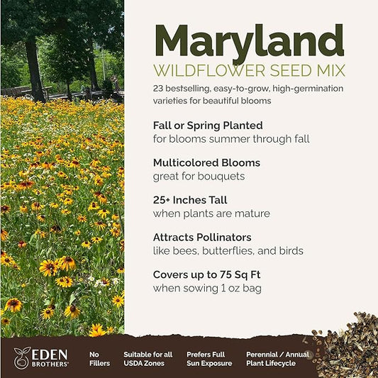 Eden Brothers Maryland Wildflower Mixed Seeds for Planting, 1 oz, 30,000+ Seeds with Shasta Daisy, Cornflower | Attracts Pollinators, Plant in Spring or Fall, Zones