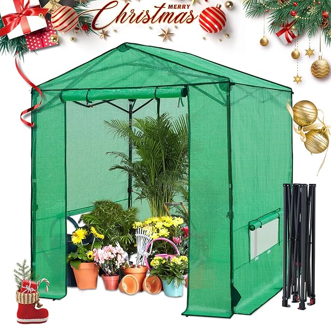 6x6 Pop Up Walk-in Greenhouse, Indoor & Outdoor PE Cover Green House with Power Access Ports, Roll-up Zippered Doors and Windows, Green